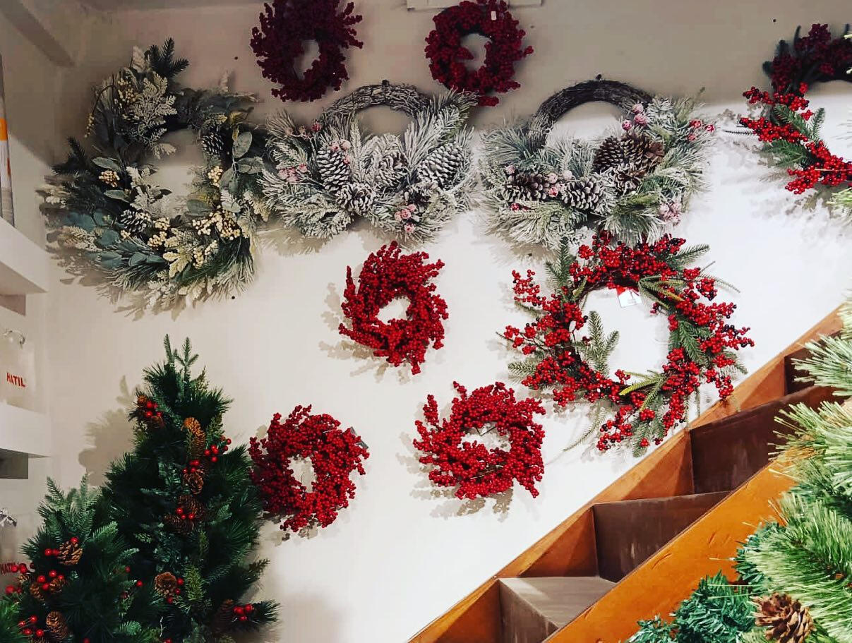 Viverra orci dapibus