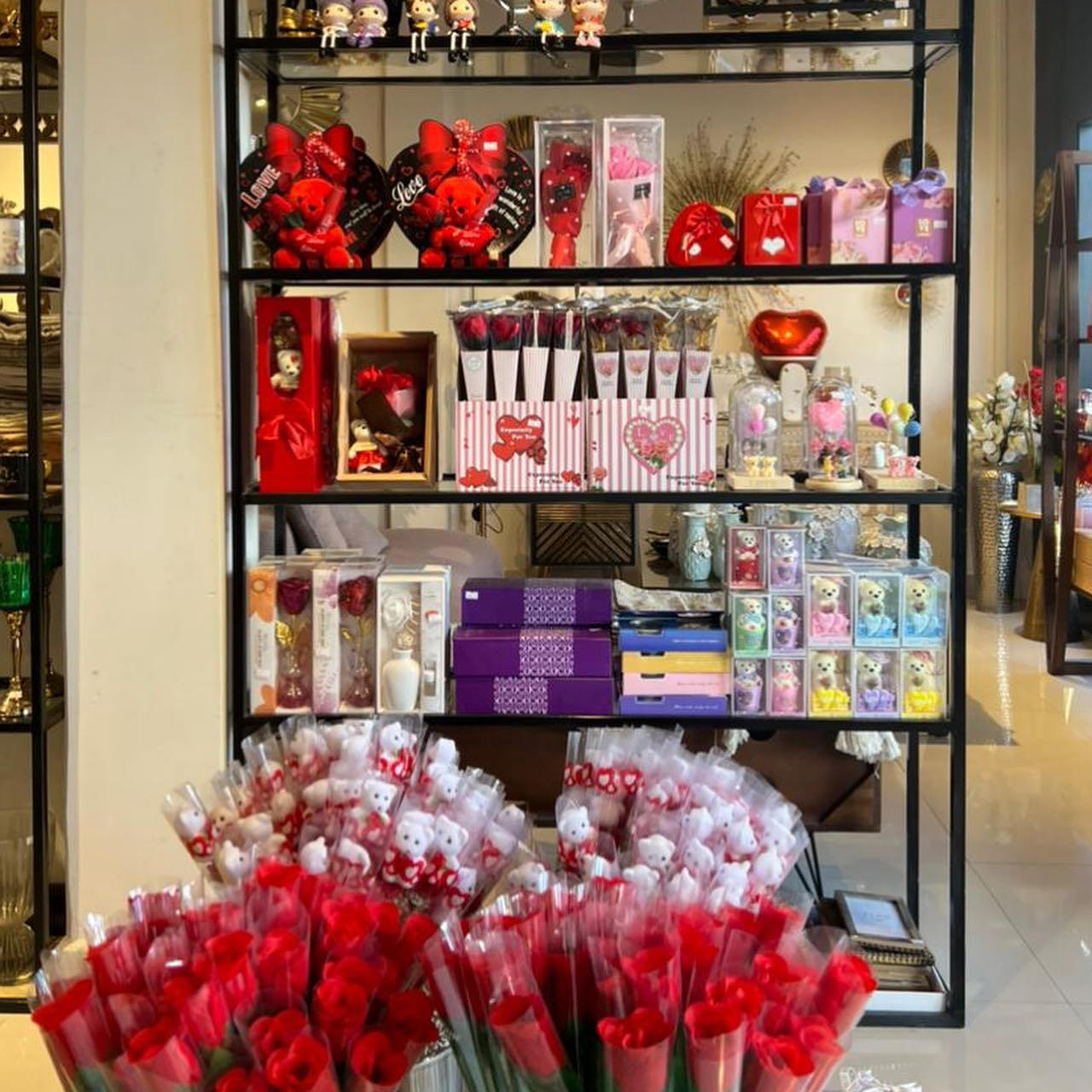 Varius leo fermentum