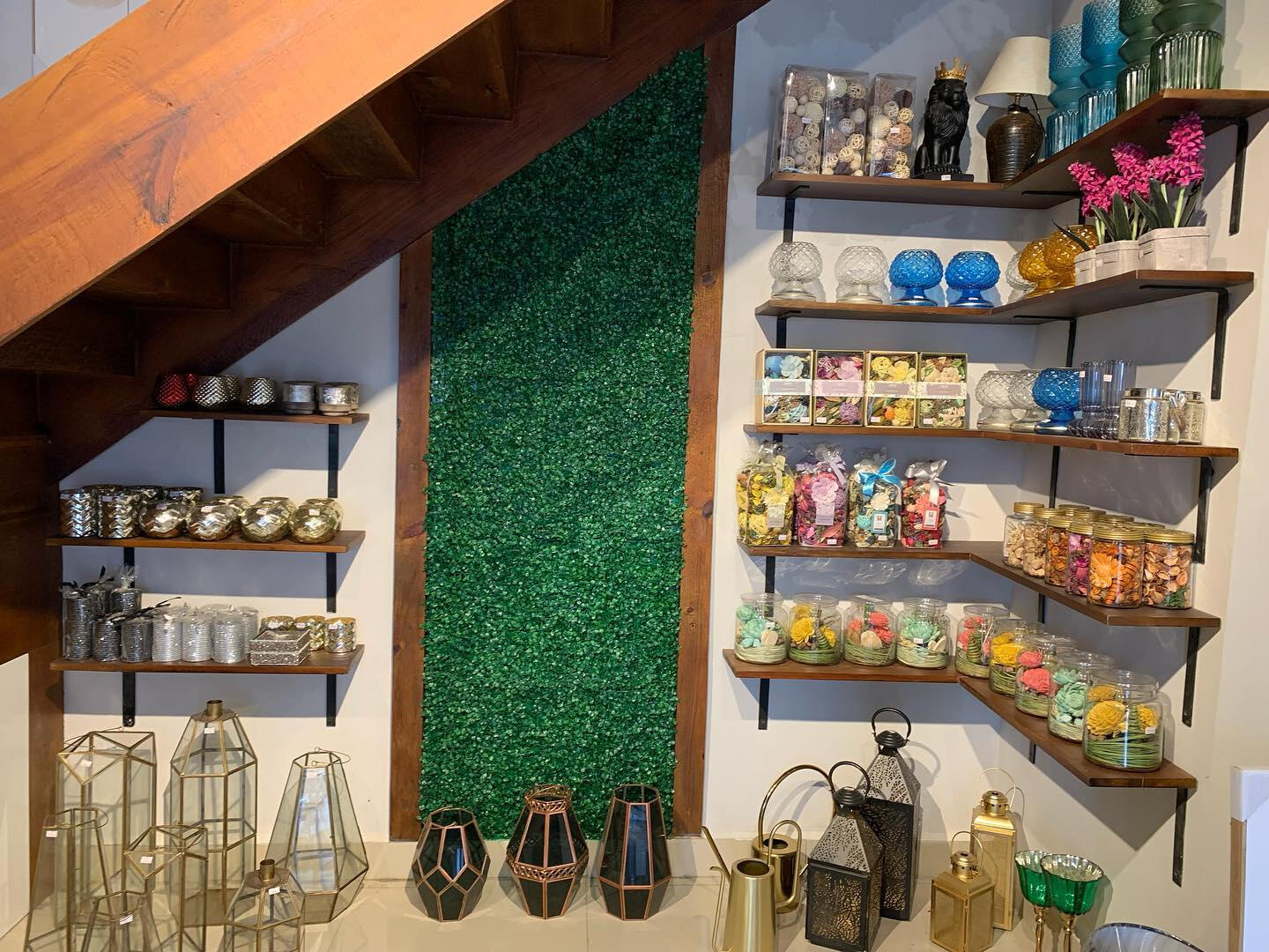 Viverra orci dapibus